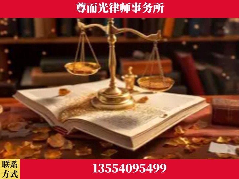百色-刑事诉讼律师